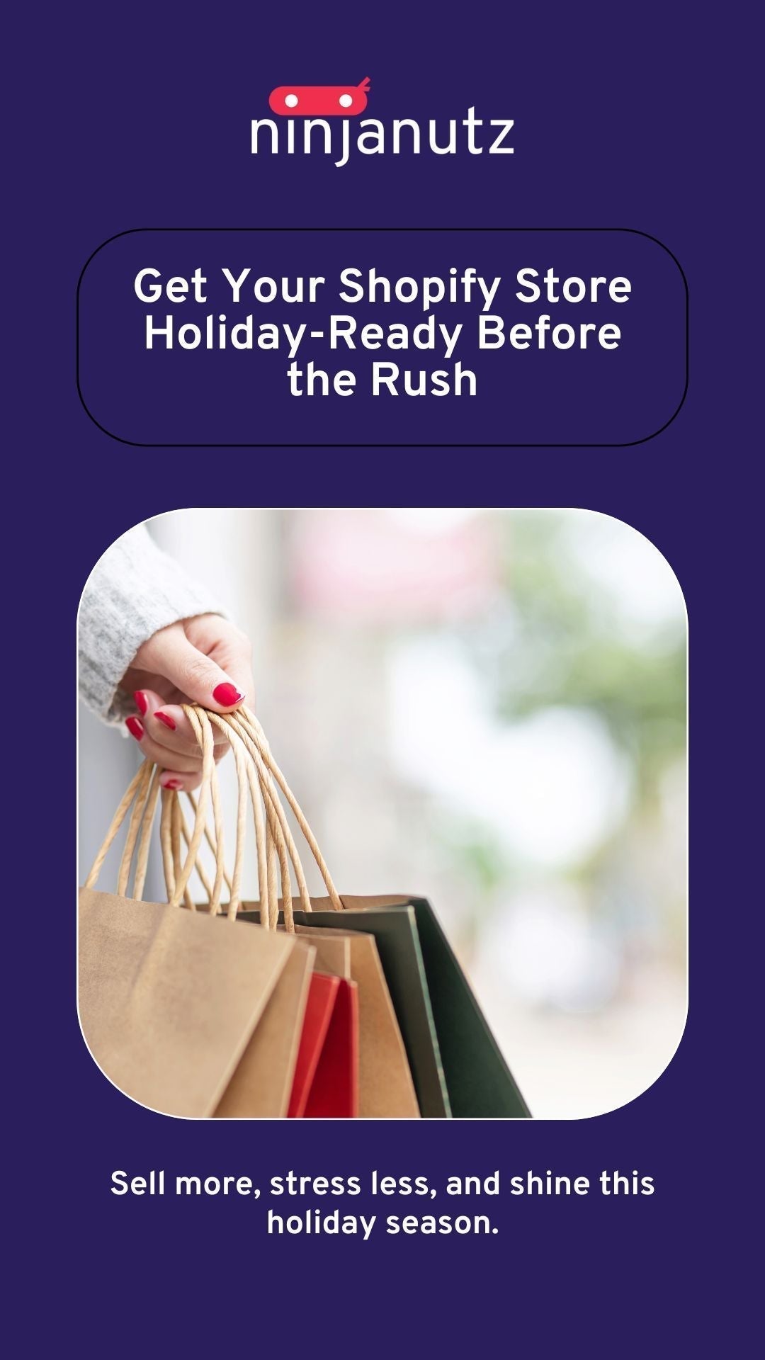Get-Your-Shopify-Store-Holiday-Ready-Before-the-Rush NinjaNutz Digital ®
