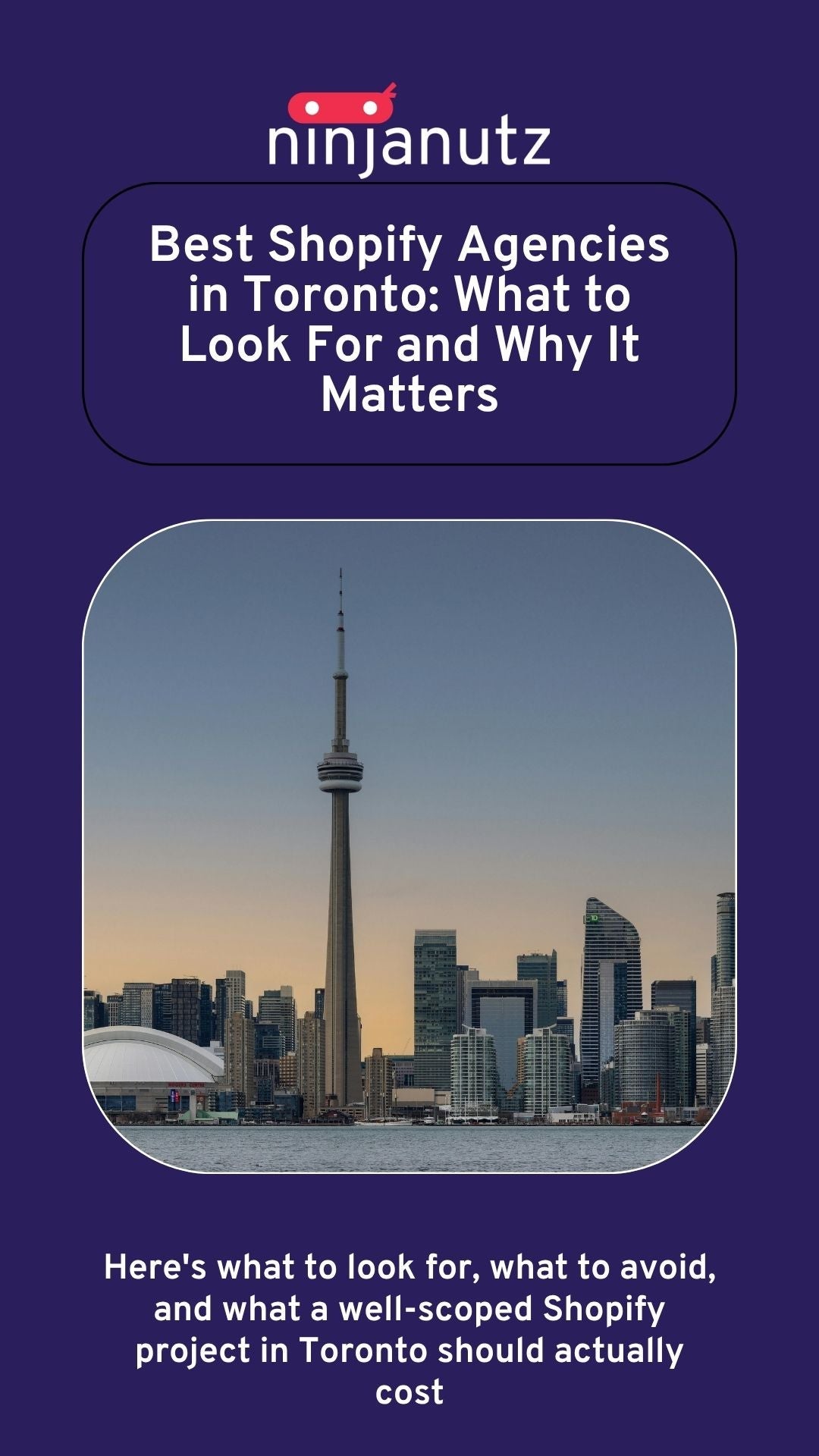Best Shopify Agencies in Toronto: What to Look For and Why It Matters NinjaNutz Digital ®