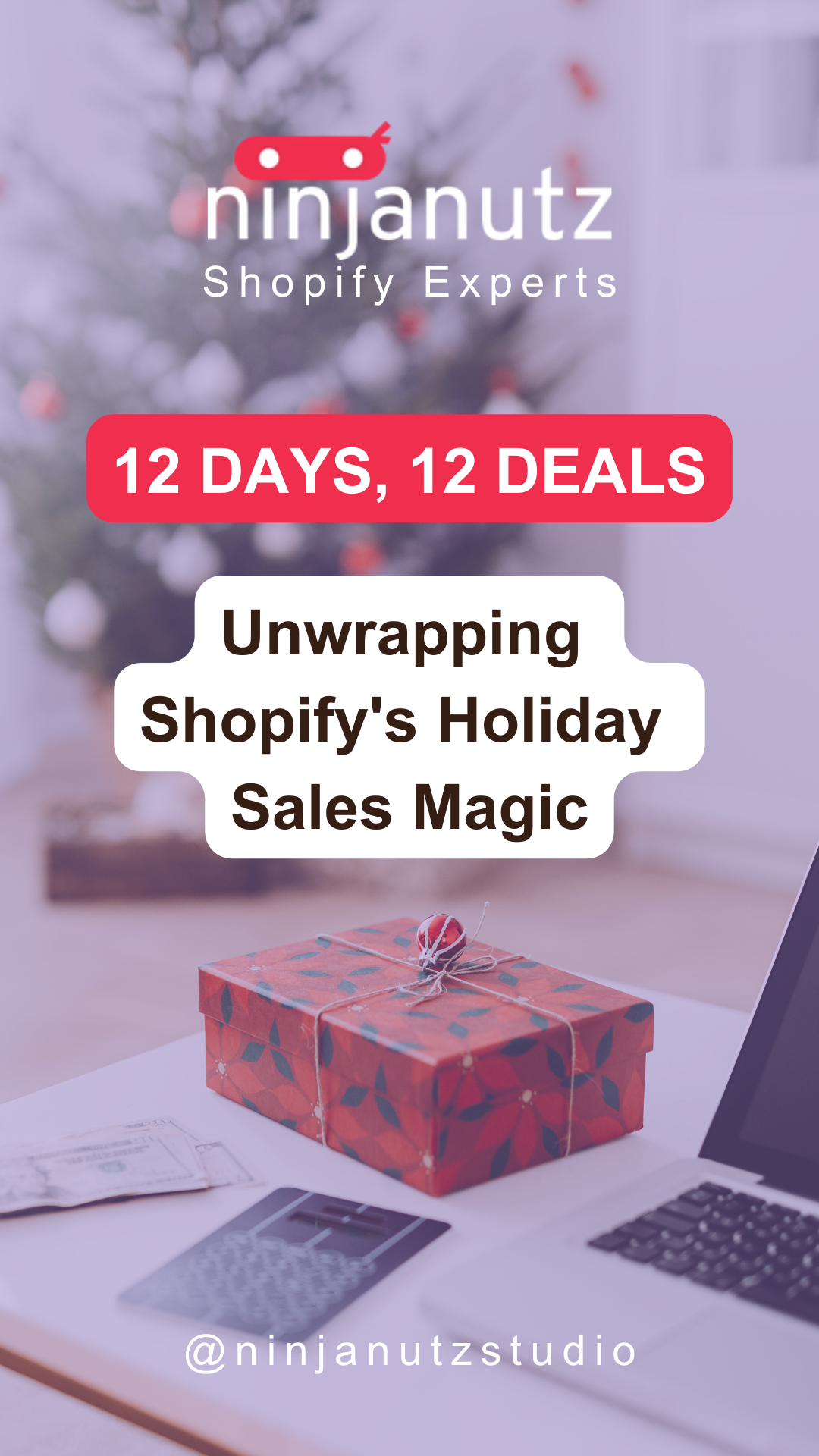 12 Days, 12 Deals: Unwrapping Shopify's Holiday Sales Magic NinjaNutz®