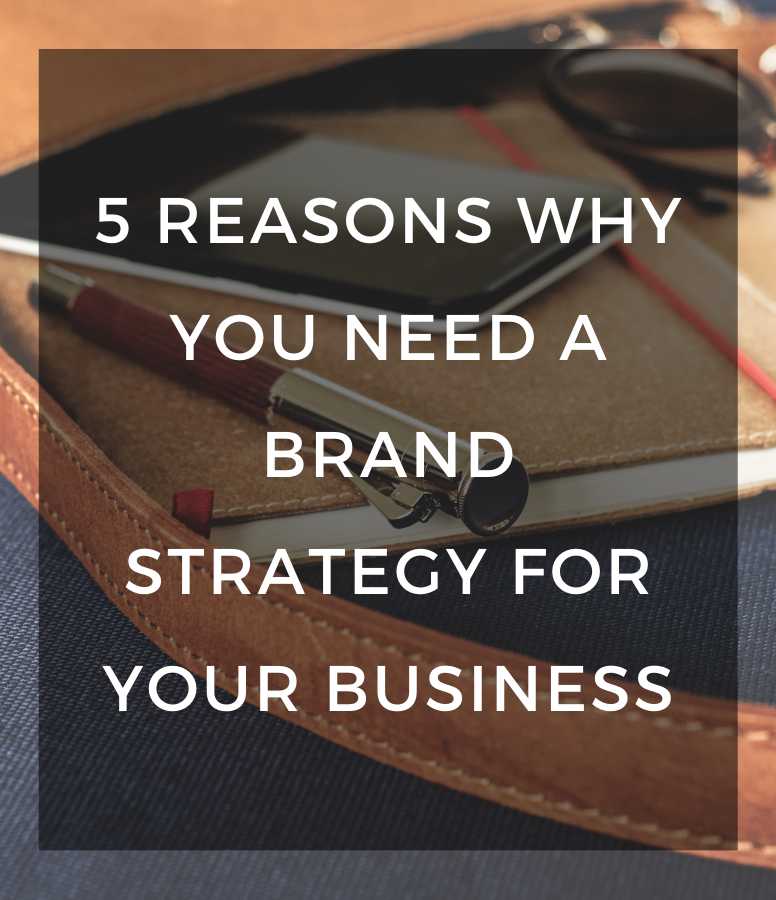 5 Reasons Why You Need A Brand Strategy For Your Business NinjaNutz®