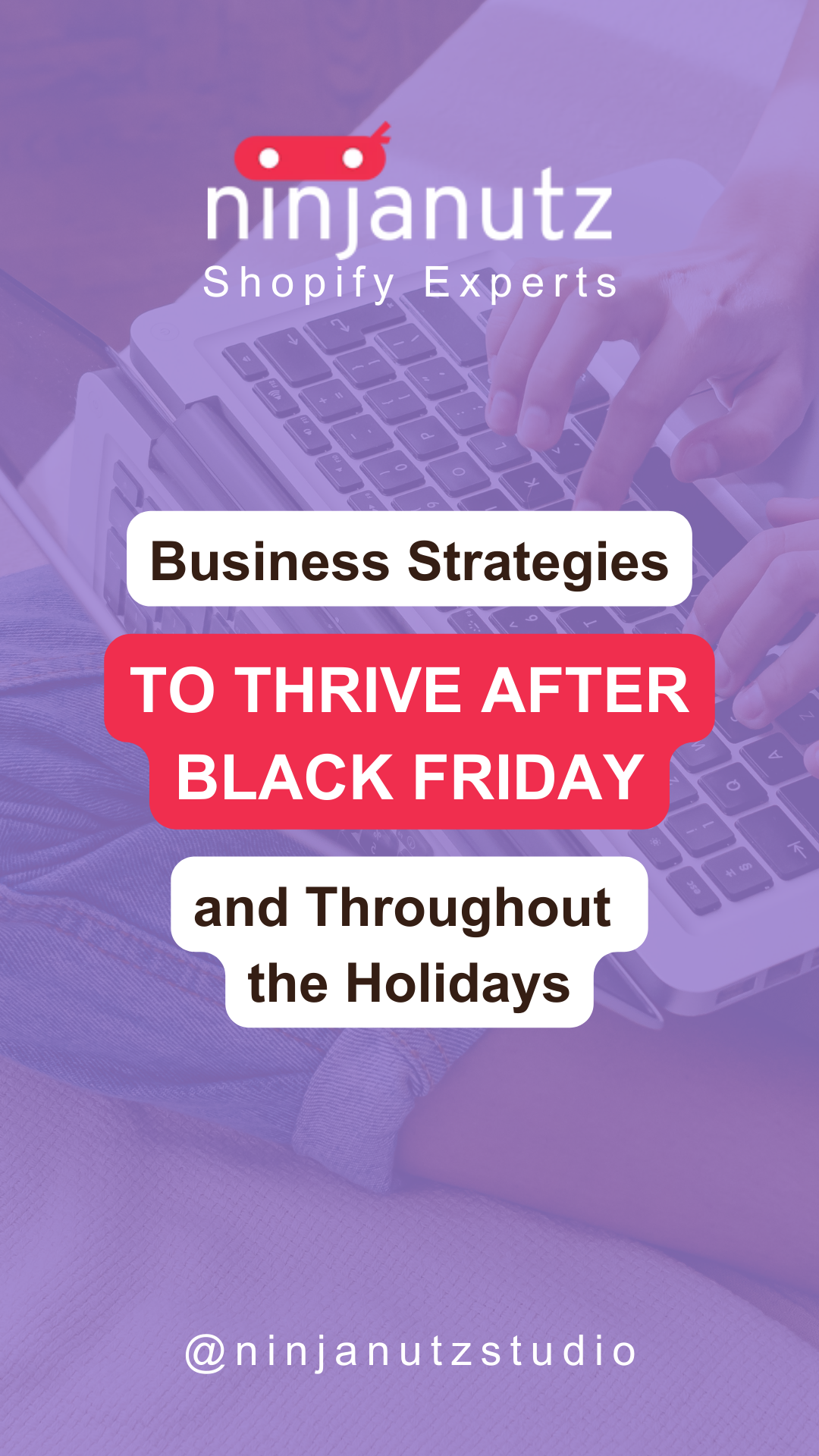Business Strategies to Thrive After Black Friday and Throughout the Holidays NinjaNutz®