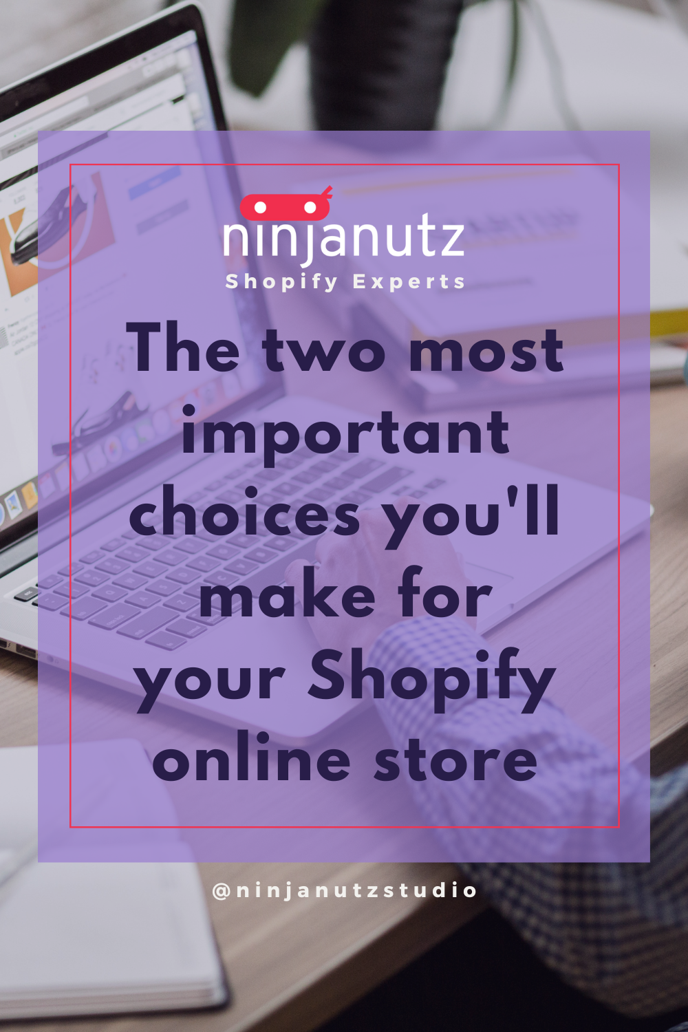 The two most important choices you'll make for your Shopify online store NinjaNutz®
