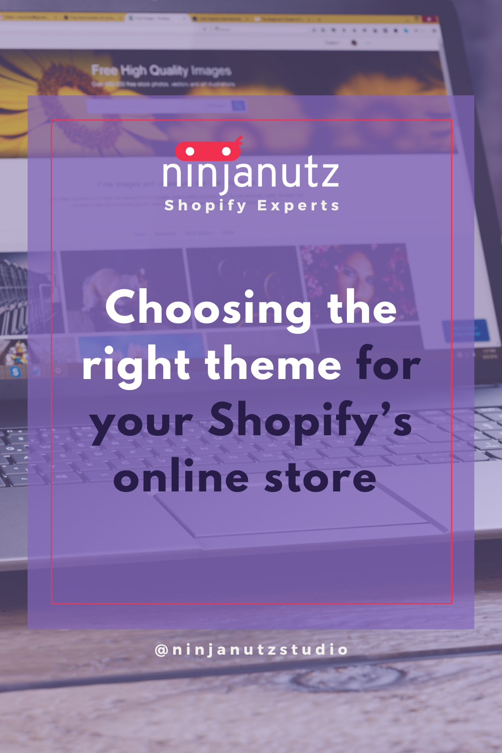 Choosing the right theme for your Shopify’s online store NinjaNutz®